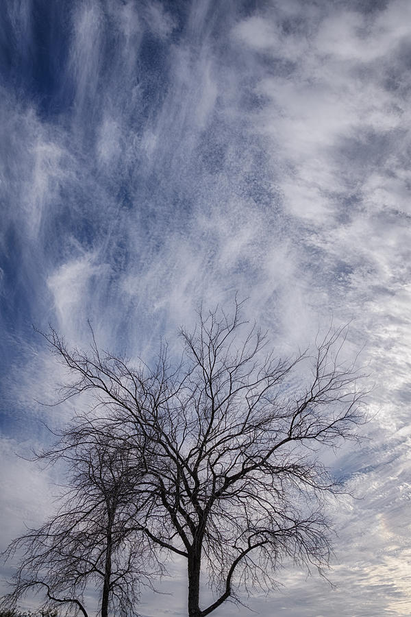 Texas Winter Clouds Photograph by Joan Carroll