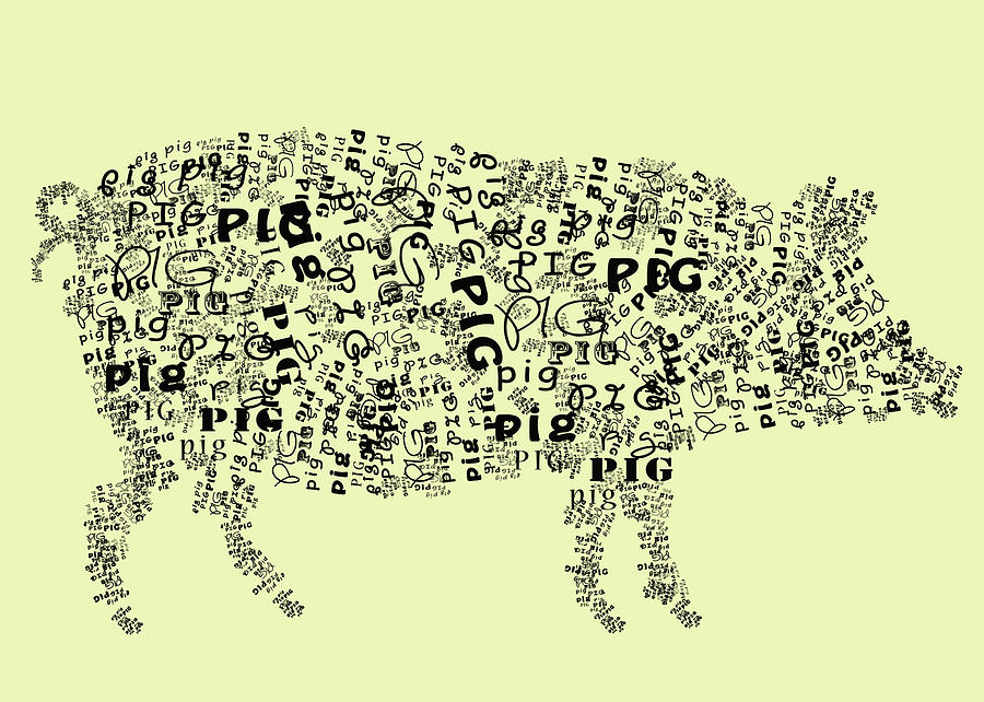 Pig Digital Art - Text Pig by Heather Applegate