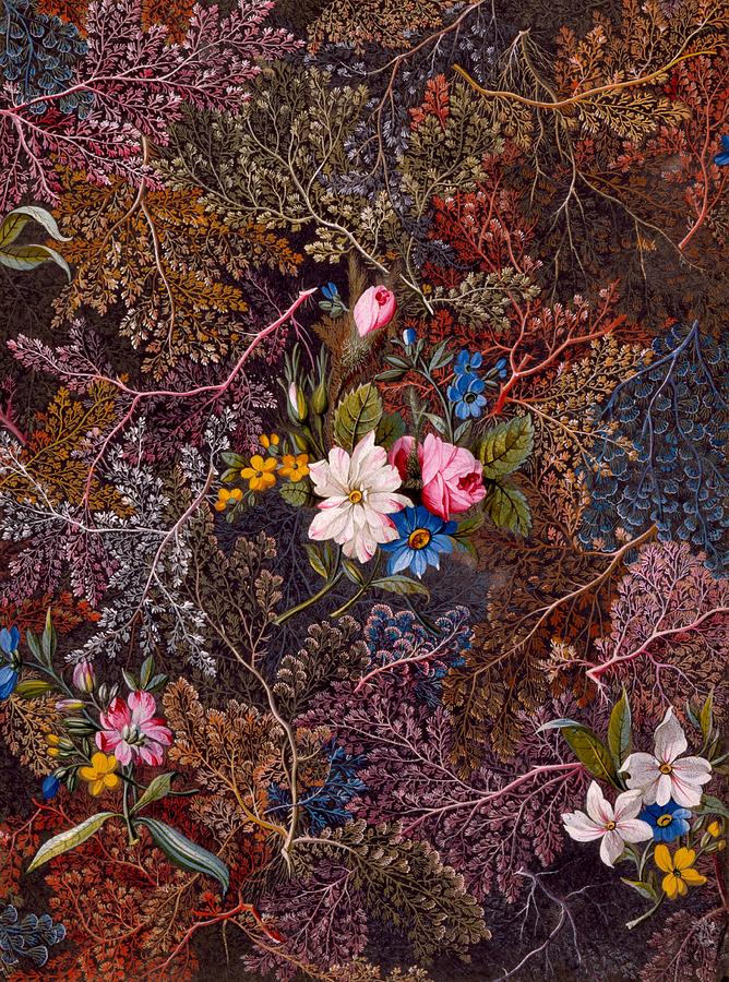 Antique Floral Textile Pattern Painting by William Kilburn