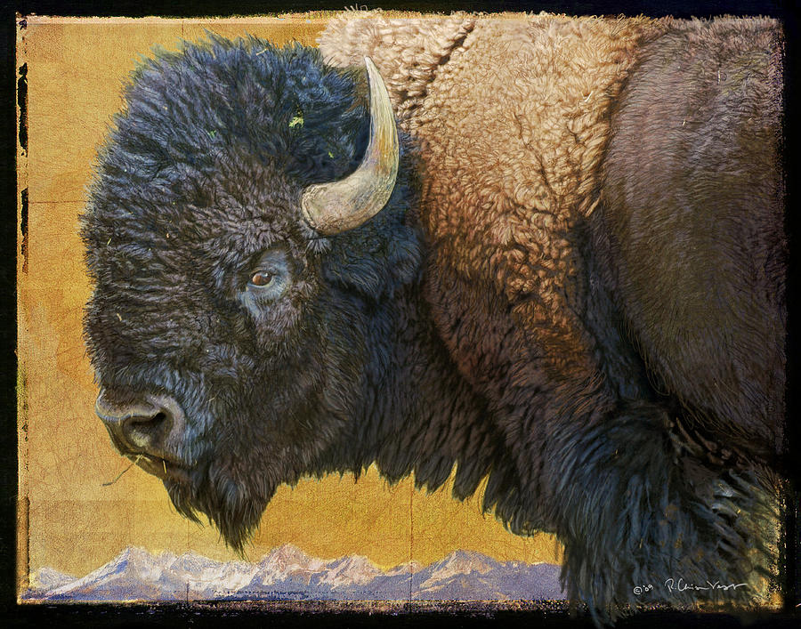 Yellowstone National Park Painting - Texture Study Bull Bison  by R christopher Vest