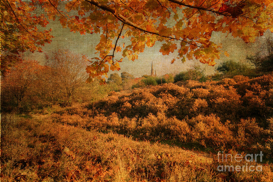 Textured Autumn Photograph by David Birchall