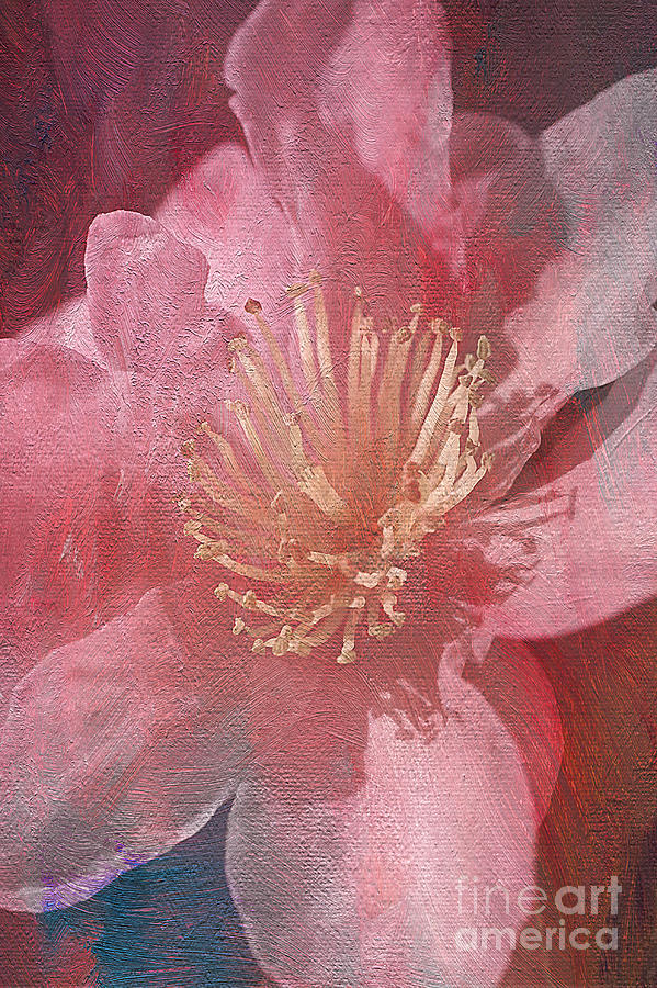 Textured-Camellia Photograph by Joy Watson