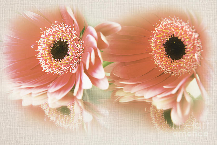 Textured Floral Artwork by Eden Baed Textured Floral Artwork by Eden Baed