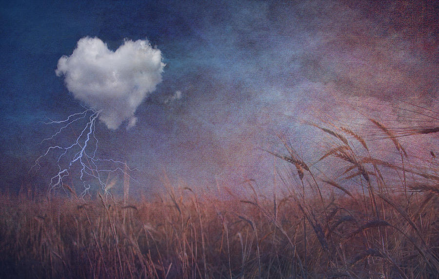 Nature Digital Art - Textured heart cloud and open field by Bruce Rolff