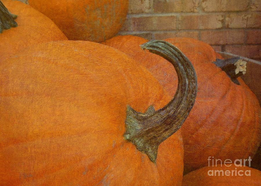 Textured Pumpkins Photograph by Renee Trenholm