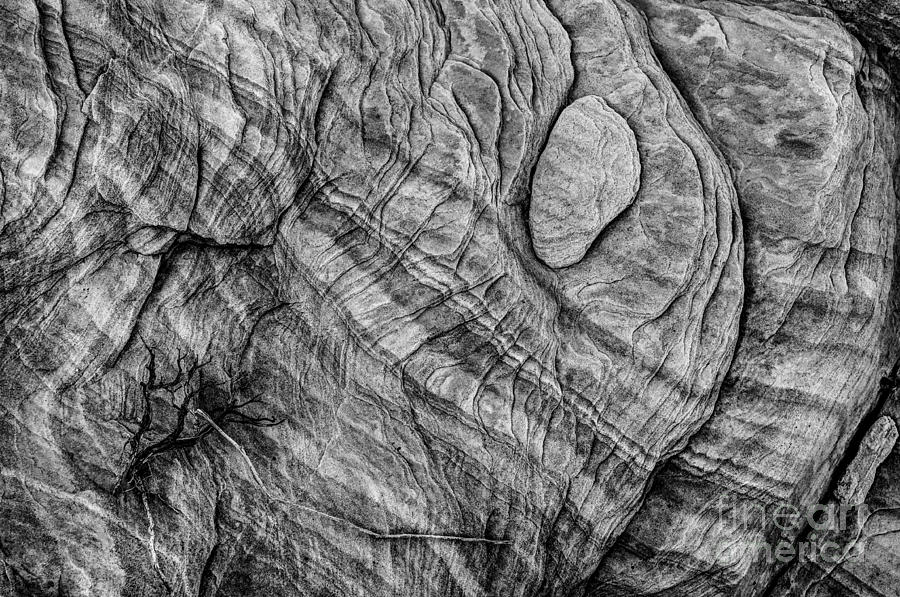 Textured Sandstone - Black and White - Valley of Fire Photograph by Gary Whitton