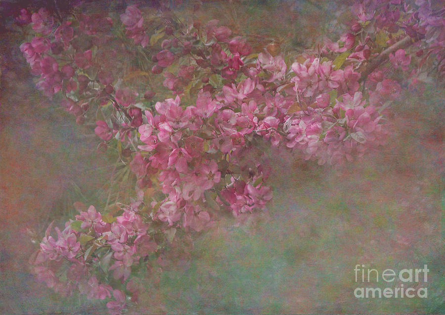 Textured Spring Blossoms Photograph