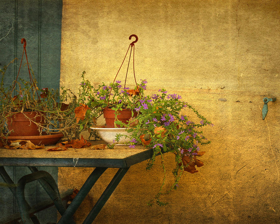 Still Life Photograph - Textured Vignette of upcoming Autumn by Ness Welham