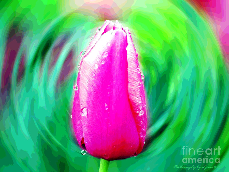 Textured Wet Pink Tulip Photograph