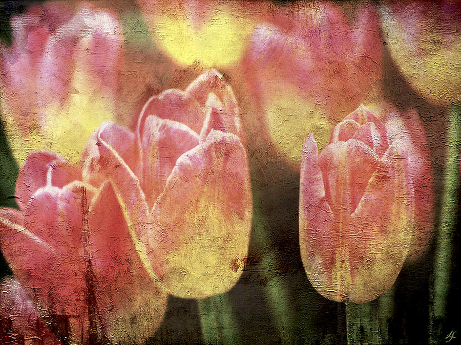 Textures Of Spring Photograph by Linda Sannuti