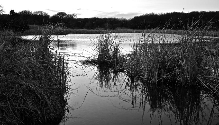 Thackerville Pond 6589 Photograph by Ricardo J Ruiz de Porras
