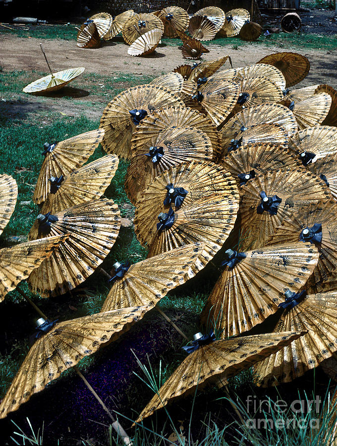 Still Life Photograph - Thai Umbrellas by Eva Kato