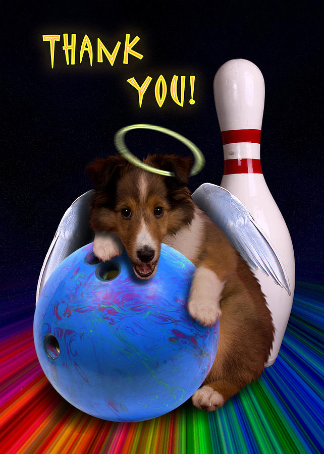 Candy Photograph - Thank You Bowling Angel Sheltie Puppy by Jeanette K