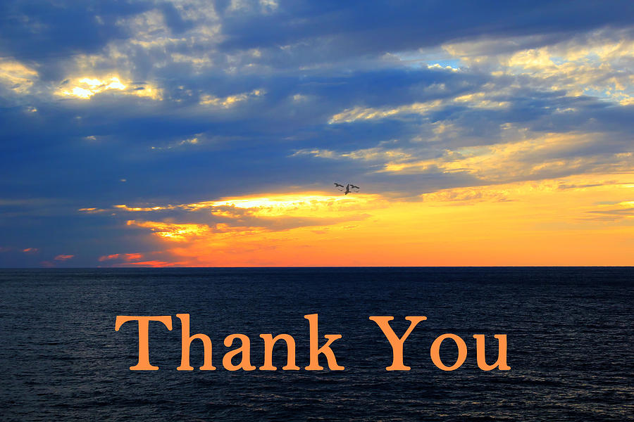 Sunset Photograph - Thank You by Shelley Neff