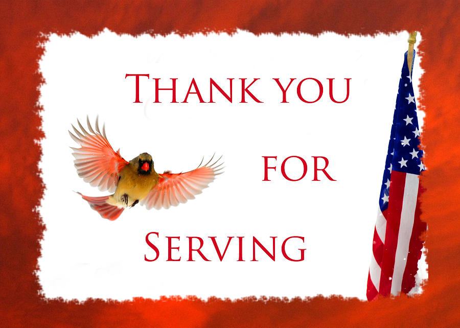 Cardinal Photograph - Thank You For Serving by Randall Branham