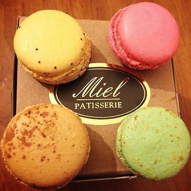 Thank You For The Macaroons 😍 Photograph by Michele Lin