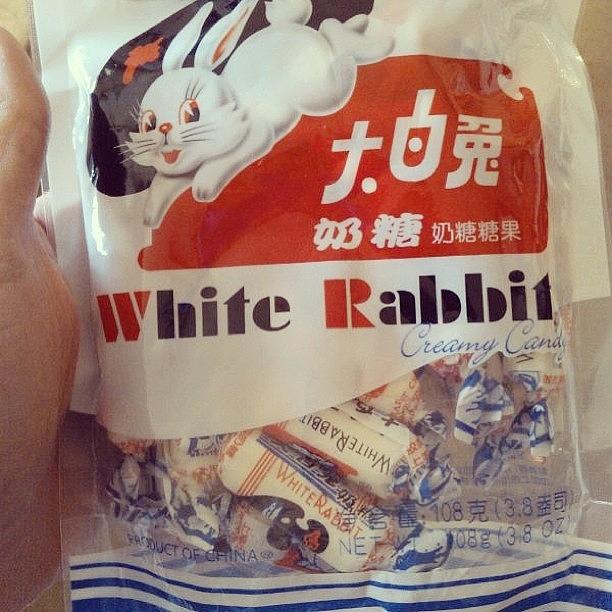 Whiterabbit Photograph - Thank You Harry For My Favourite Sweets by Laurena Pascoe