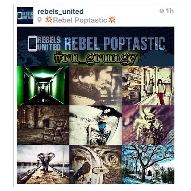 Thank You Repost For Rebel Pops Photograph by Deb - Jim Photograhy