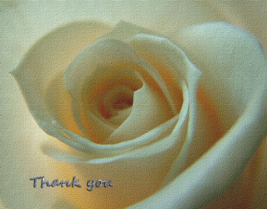 Thank You Rose Photograph by Joan-Violet Stretch