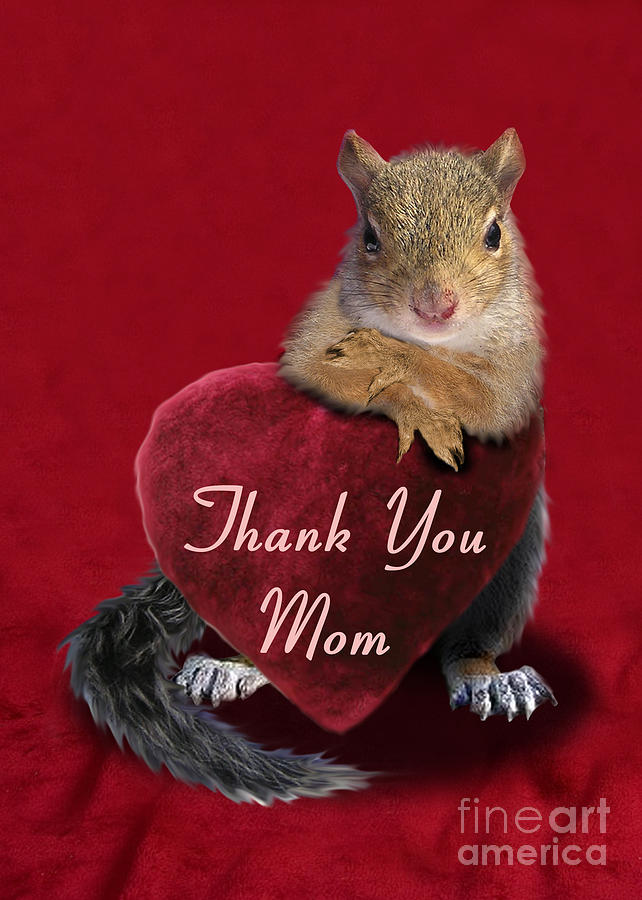 Candy Photograph - Thank You Squirrel by Jeanette K
