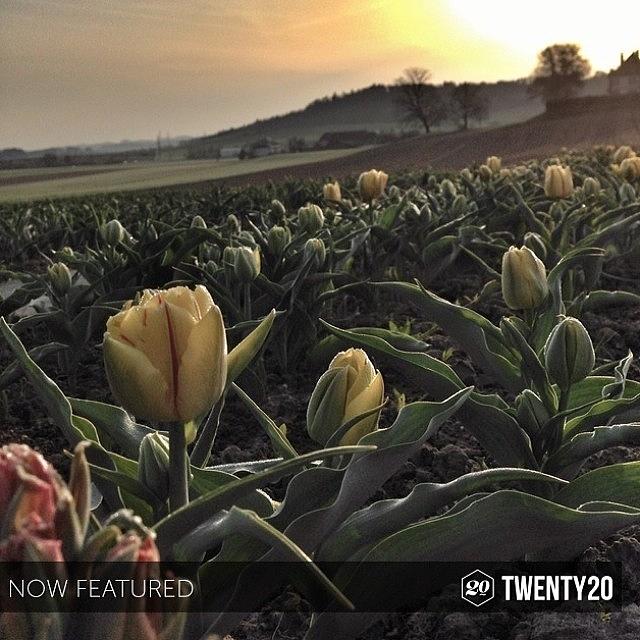 Thank You @twenty20app For This Photograph by Urs Steiner