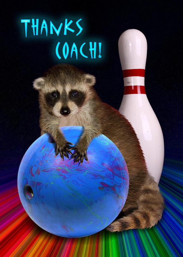 Candy Photograph - Thanks Coach Raccoon by Jeanette K