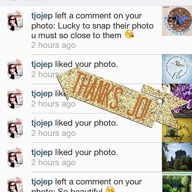 Thanks @tjojep For The Instalove Today! Photograph by Teresa Mucha