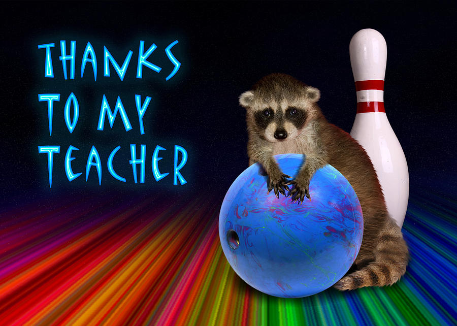 Candy Photograph - Thanks To My Teacher Raccoon by Jeanette K