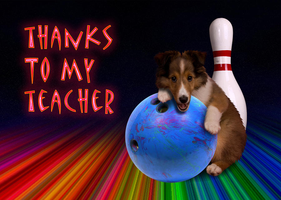 Candy Photograph - Thanks To My Teacher Sheltie Puppy by Jeanette K