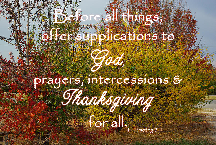 Fall Photograph - Thanksgiving 1 Timothy 2 by Robyn Stacey