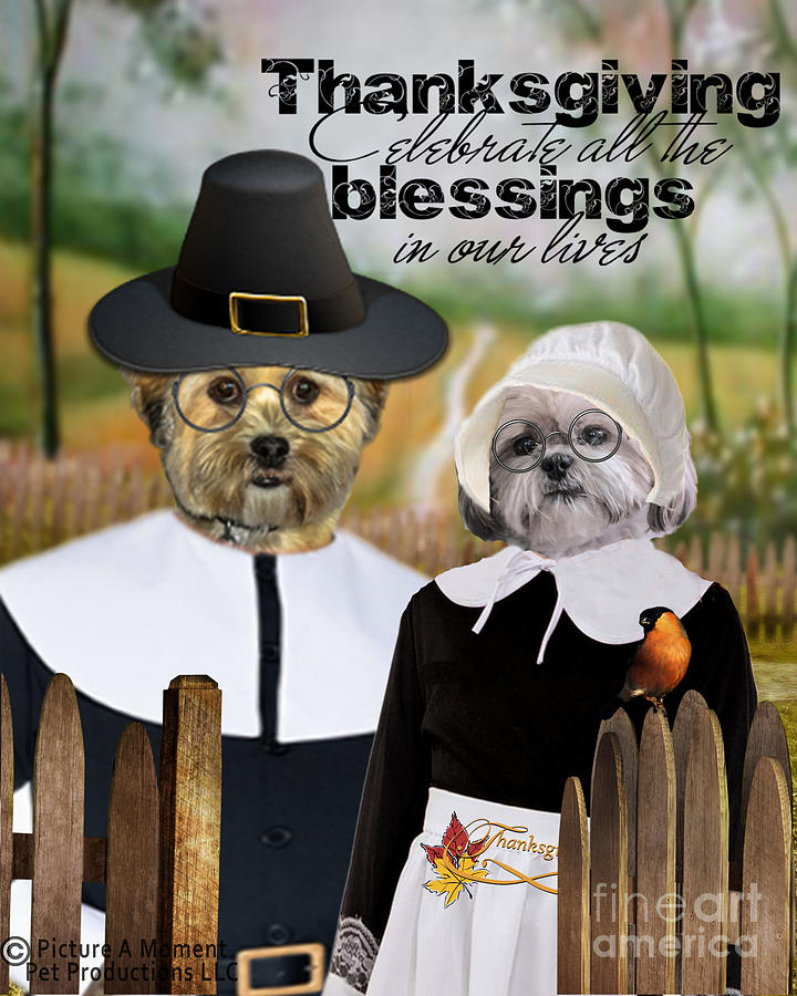 Thanksgiving Digital Art - Thanksgiving From The Dogs by Kathy Tarochione