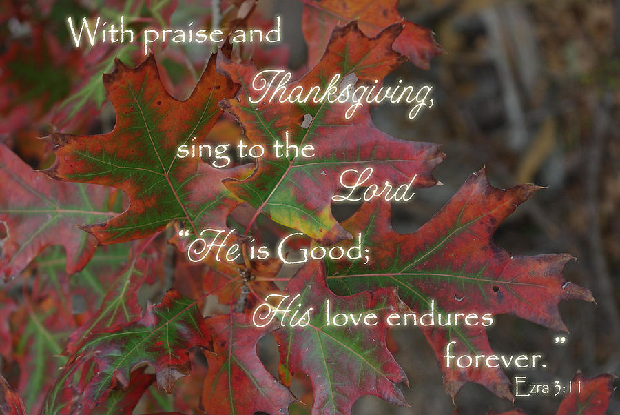 Fall Photograph - Thanksgiving Praise Ezra 3 by Robyn Stacey
