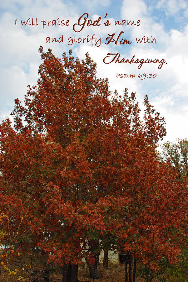 Fall Photograph - Thanksgiving Praise Glorify God Psalm 69 by Robyn Stacey