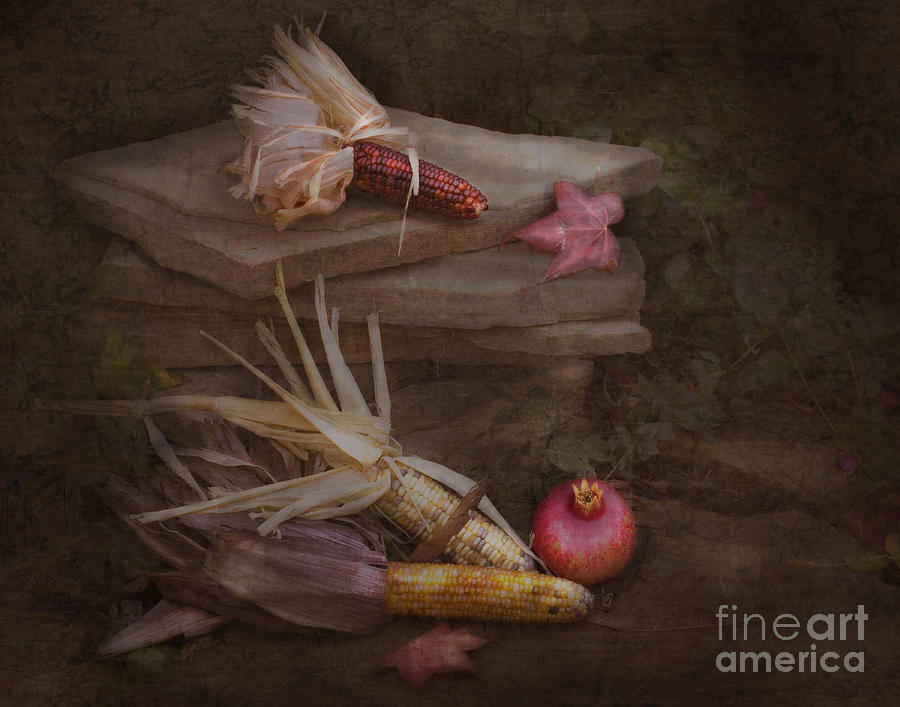 Thanksgiving still life Photograph by Cindy Garber Iverson