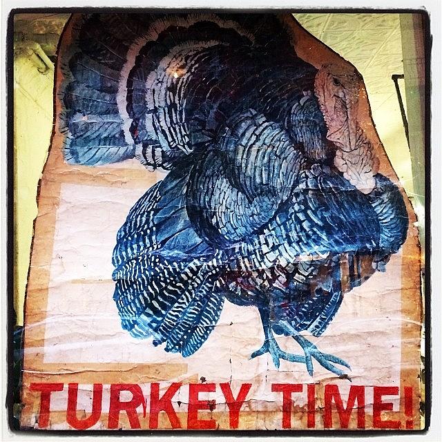 Thanksgiving Time=turkey (animal) Photograph by Carlos Martin