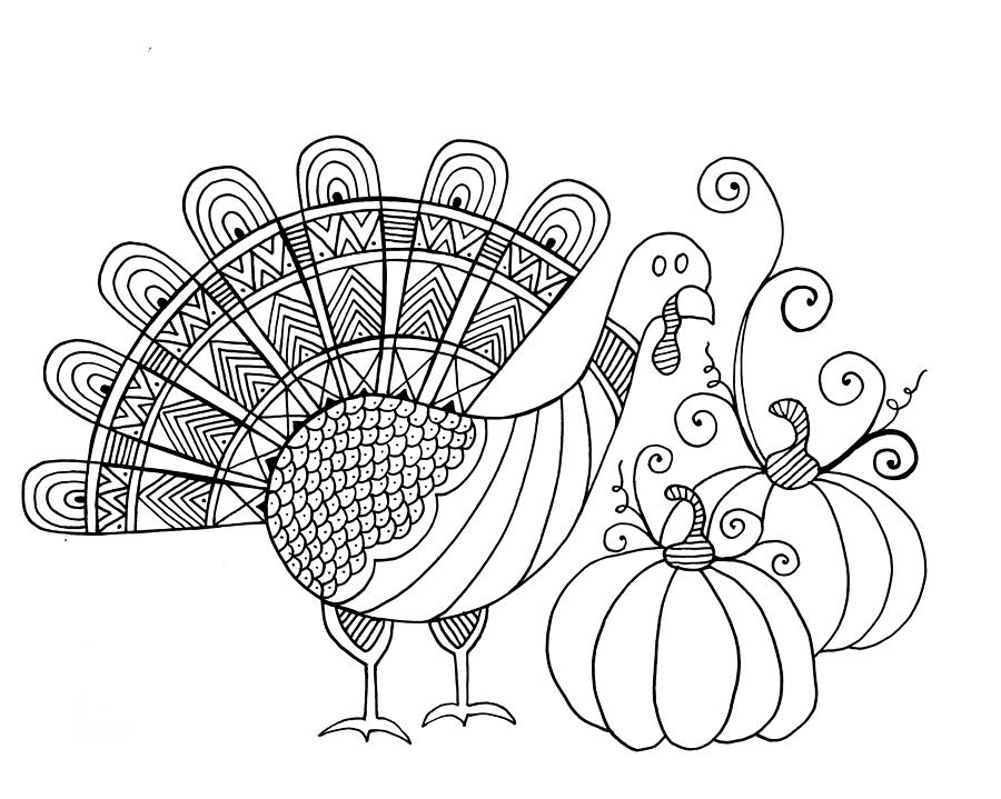 Thanksgiving Turkey Drawing by MGL Meiklejohn Graphics Licensing