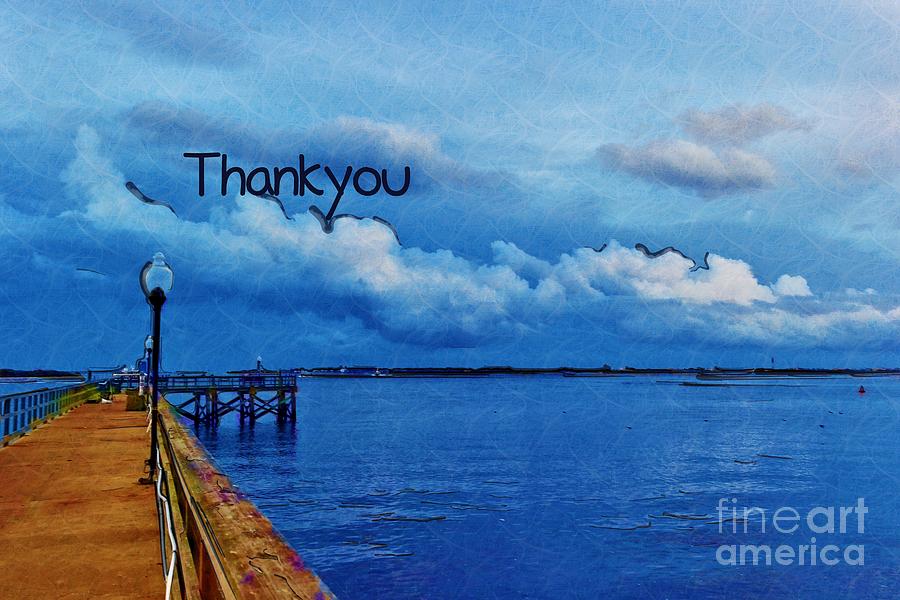 Thankyou Photograph by Cindy Piper - Fine Art America