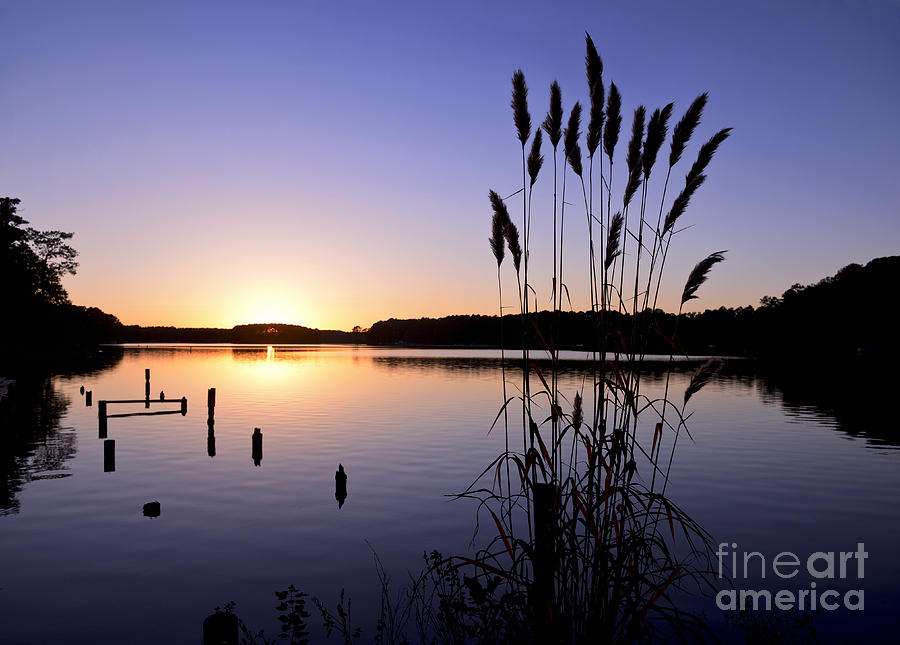 Whispering Pines Lake Sunset Photograph by Ken Howard - Fine Art America