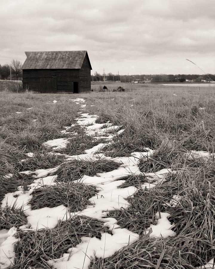 That Old Barn Photograph by Elizabeth Sullivan