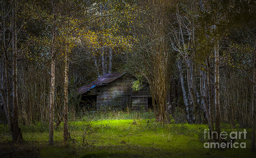 Cow Photograph - That Old Barn by Marvin Spates