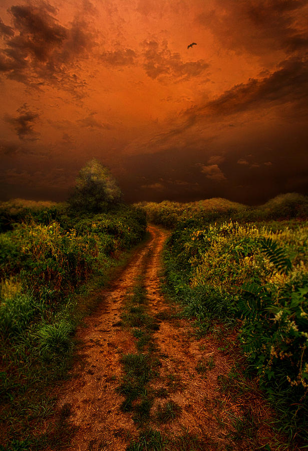 That We May Know Our Way Photograph by Phil Koch