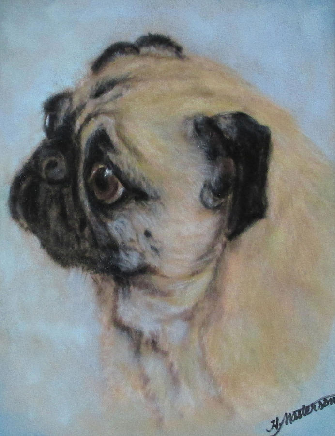 Pugs Worried Look Pastel by Harriett Masterson