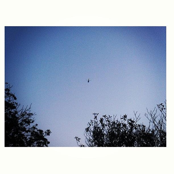 Torrance Photograph - That Yung Helicopter Above My House. A by Dylan Moore