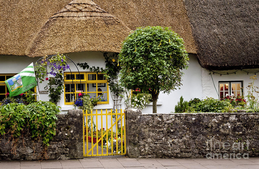 Thatched Cottage House Digital Art by Danielle Summa