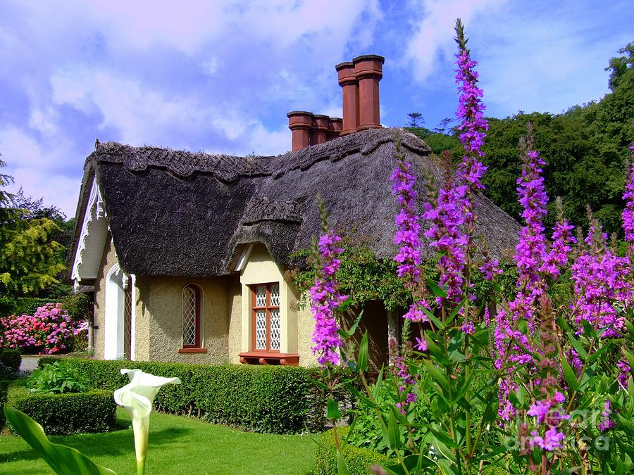 Thatched cottage Photograph by Joe Cashin