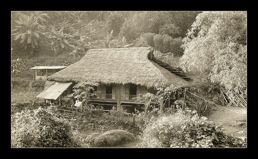 Thatched Hut in Vietnam Photograph by Weston Westmoreland