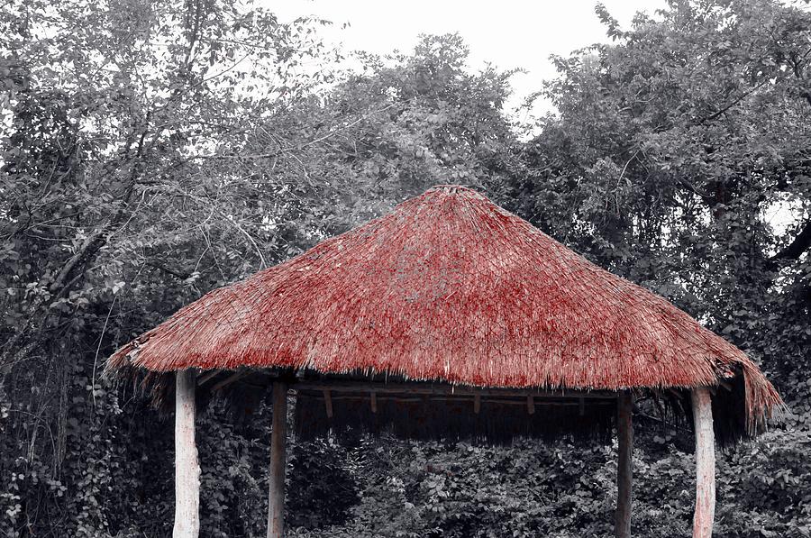 Thatched Hut Photograph by Lori Strock