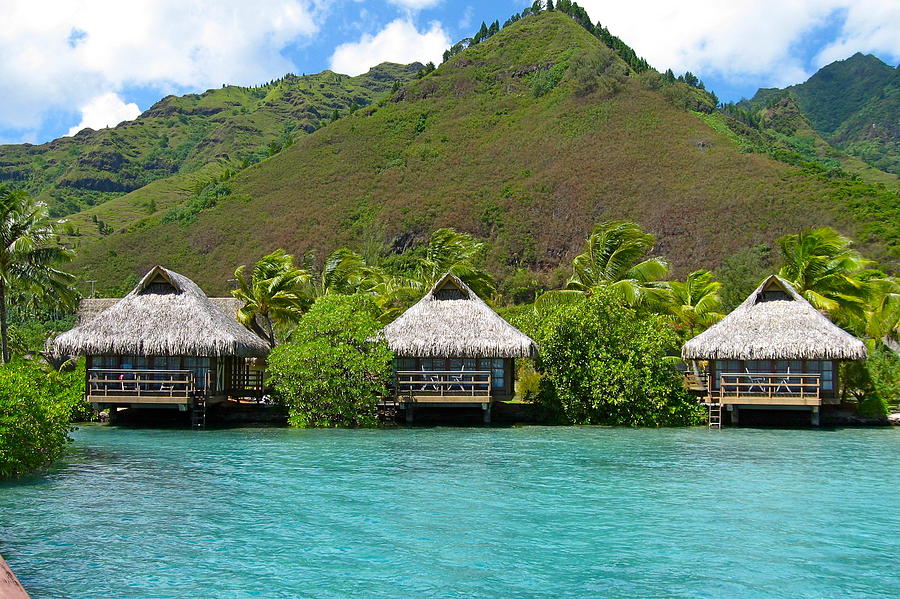 Thatched Roof Hotel In Moorea Photograph by Denise Mazzocco - Fine Art ...