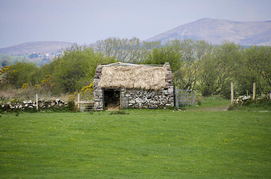 Farm Photograph - Thatched Roof in the Irish Countryside by Bill Cannon