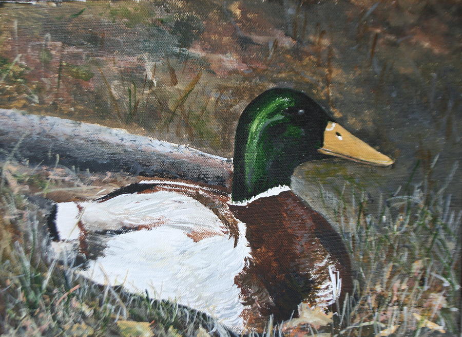 Duck Painting - Thats Close Enough by Betty-Anne McDonald